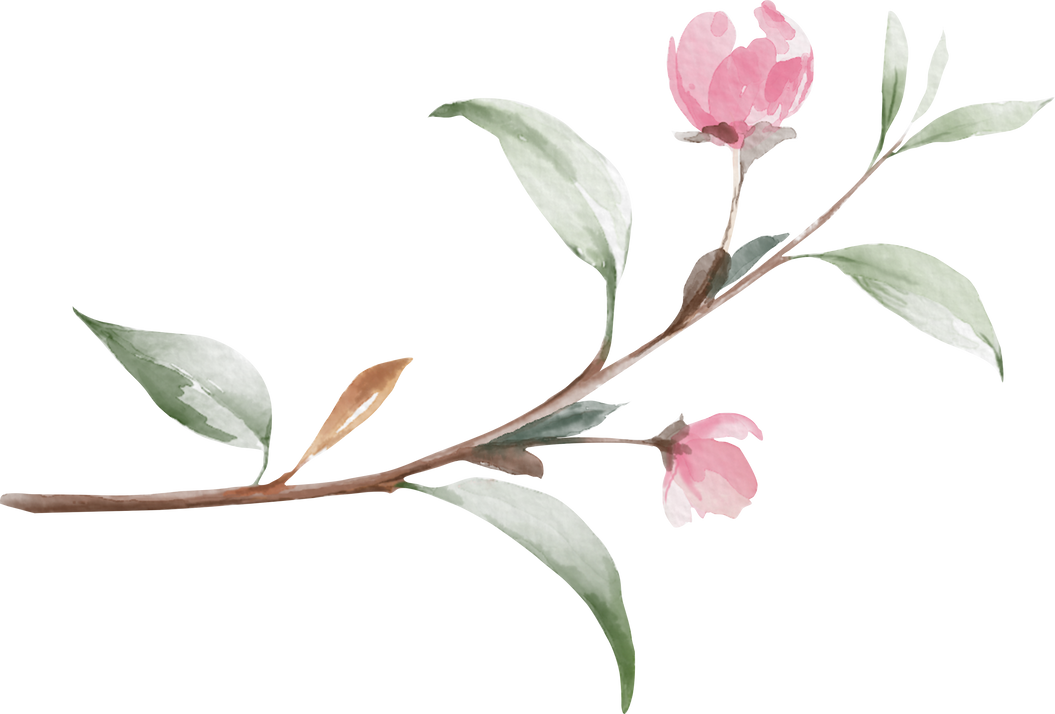 Watercolor Pink Flower and Branch