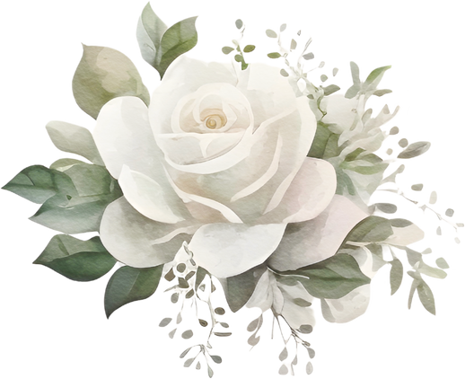 White Rose Flower