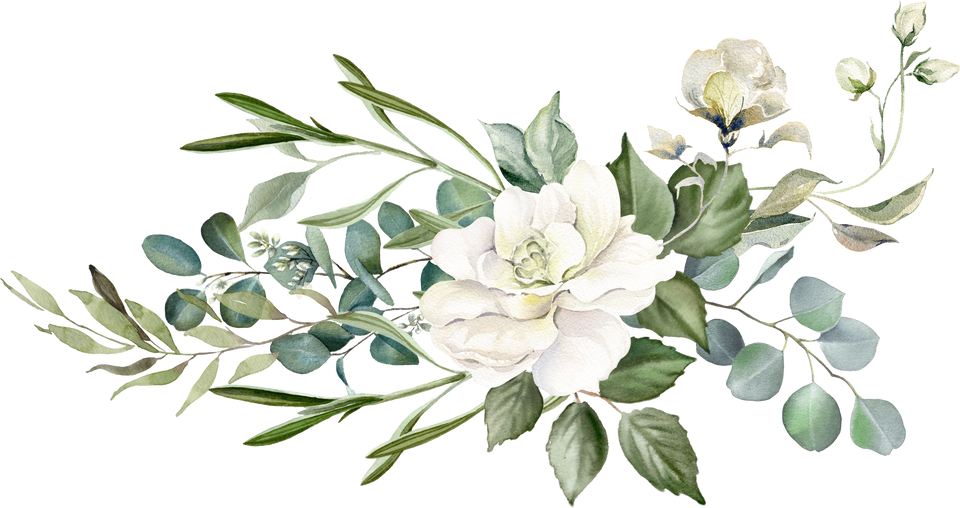 White flowers arrangement, watercolor hand drawn illustration