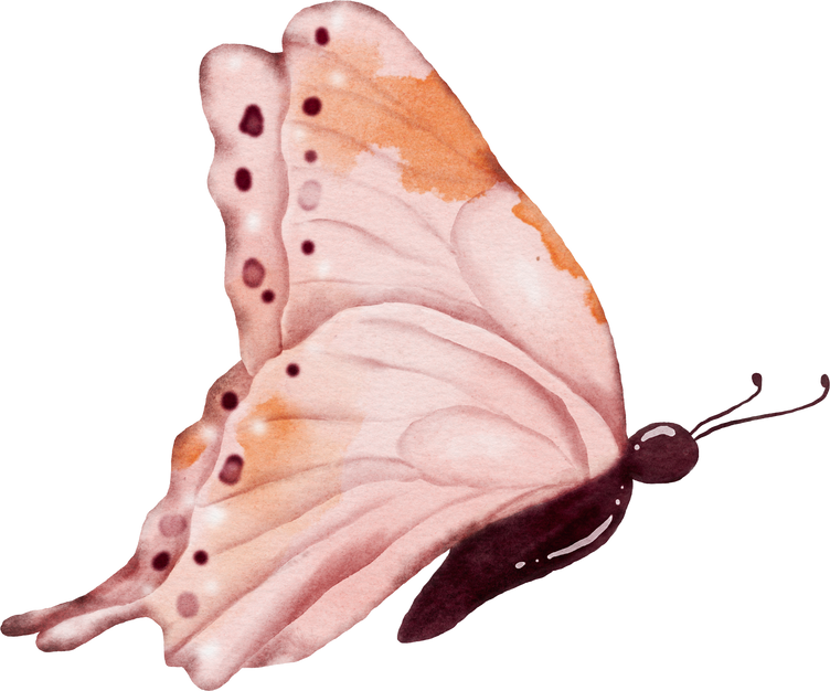 Watercolor Pink Butterfly