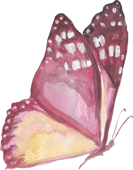 Butterfly in Watercolor Style