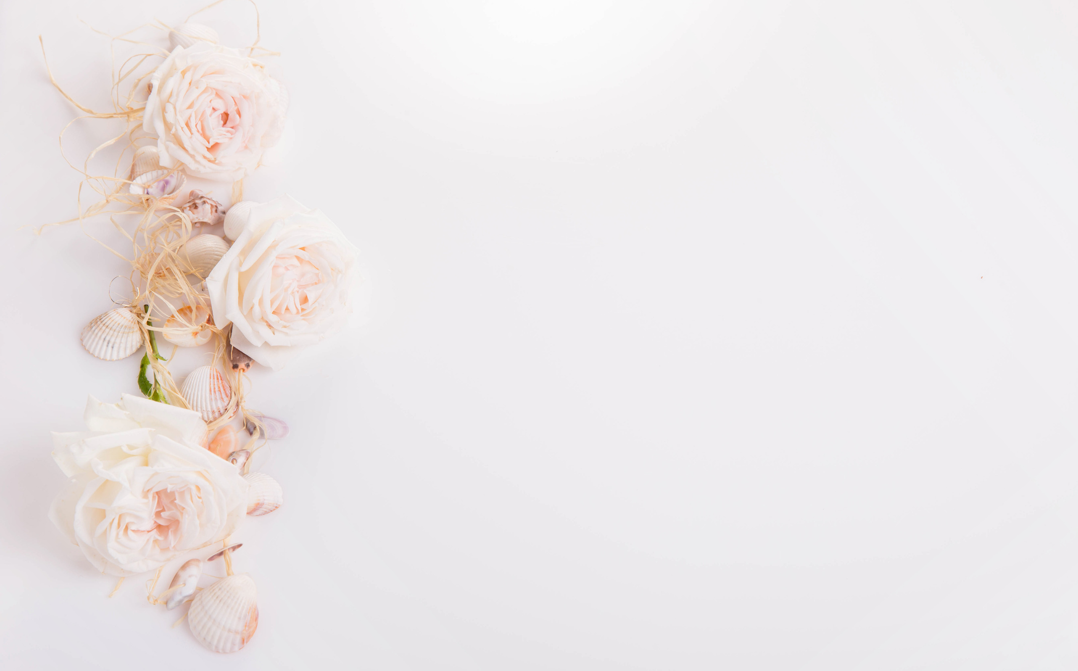 Romantic Wedding Background with Nautical Theme. Delicate Pink Roses and Seashells.